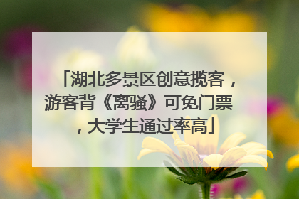 湖北多景区创意揽客，游客背《离骚》可免门票，大学生通过率高