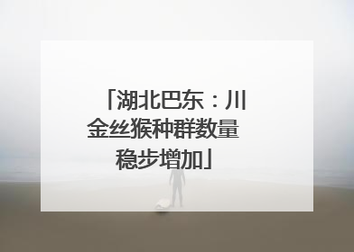 湖北巴东：川金丝猴种群数量稳步增加