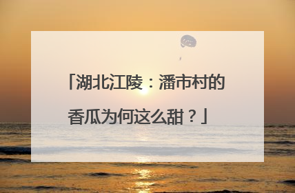 湖北江陵：潘市村的香瓜为何这么甜？