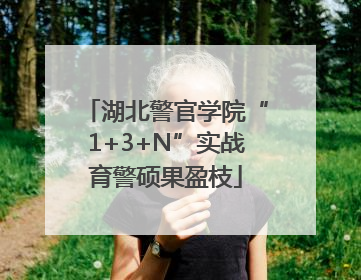 湖北警官学院“1+3+N”实战育警硕果盈枝