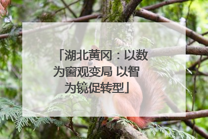 湖北黄冈：以数为窗观变局 以智为镜促转型