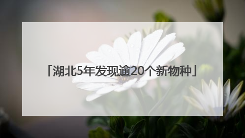 湖北5年发现逾20个新物种