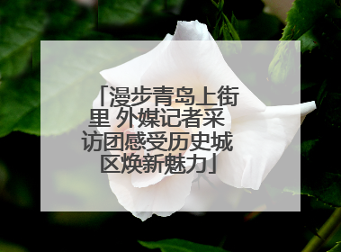 漫步青岛上街里 外媒记者采访团感受历史城区焕新魅力