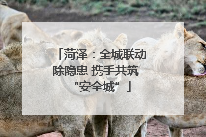 菏泽：全城联动除隐患 携手共筑“安全城”