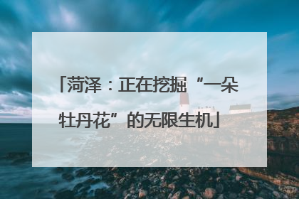 菏泽：正在挖掘“一朵牡丹花”的无限生机