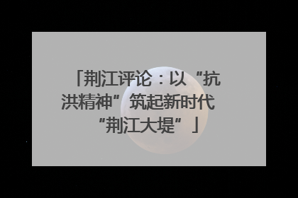 荆江评论：以“抗洪精神”筑起新时代“荆江大堤”