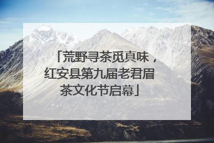 荒野寻茶觅真味，红安县第九届老君眉茶文化节启幕