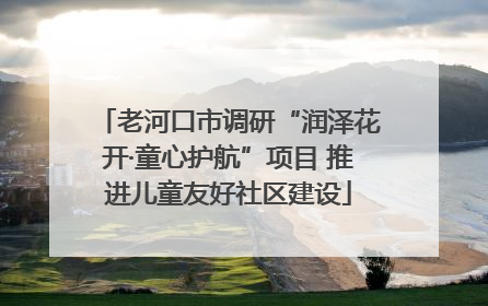 老河口市调研“润泽花开·童心护航”项目 推进儿童友好社区建设
