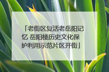老街区复活老岳阳记忆 岳阳楼历史文化保护利用示范片区开街