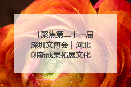 聚焦第二十一届深圳文博会｜河北创新成果拓展文化产业“朋友圈”
