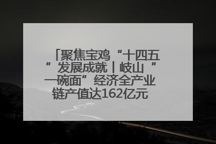 聚焦宝鸡“十四五”发展成就丨岐山“一碗面”经济全产业链产值达162亿元 入选全国典型县
