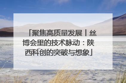 聚焦高质量发展丨丝博会里的技术脉动：陕西科创的突破与想象