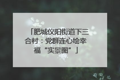 肥城仪阳街道下三合村：党群连心绘幸福“实景图”