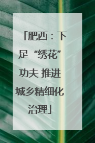 肥西：下足“绣花”功夫 推进城乡精细化治理