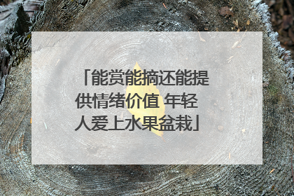 能赏能摘还能提供情绪价值 年轻人爱上水果盆栽