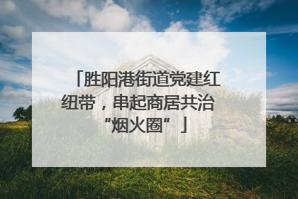 胜阳港街道党建红纽带，串起商居共治 “烟火圈”