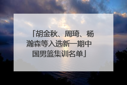 胡金秋、周琦、杨瀚森等入选新一期中国男篮集训名单