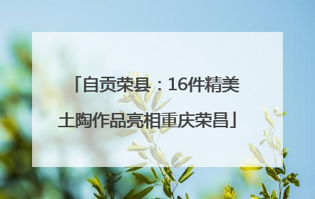 自贡荣县：16件精美土陶作品亮相重庆荣昌