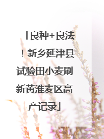 良种+良法！新乡延津县试验田小麦刷新黄淮麦区高产记录