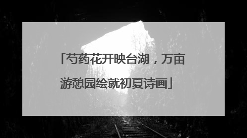 芍药花开映台湖，万亩游憩园绘就初夏诗画
