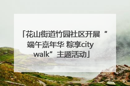 花山街道竹园社区开展“端午嘉年华 粽享city walk”主题活动