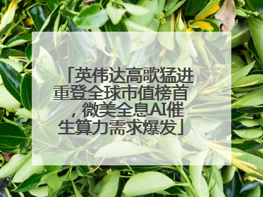 英伟达高歌猛进重登全球市值榜首，微美全息AI催生算力需求爆发