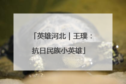 英雄河北｜王璞：抗日民族小英雄