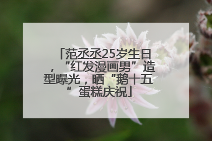 范丞丞25岁生日，“红发漫画男”造型曝光，晒“鹅十五”蛋糕庆祝