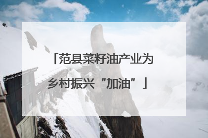 范县菜籽油产业为乡村振兴“加油”
