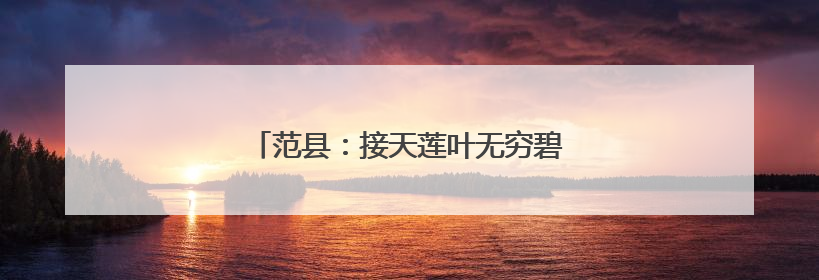 范县：接天莲叶无穷碧 “民主之花”别样红