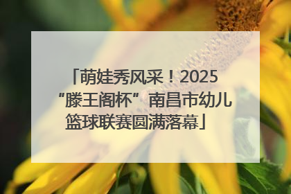 萌娃秀风采！2025“滕王阁杯”南昌市幼儿篮球联赛圆满落幕