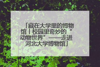 藏在大学里的博物馆丨校园里奇妙的“动物世界”——走进河北大学博物馆