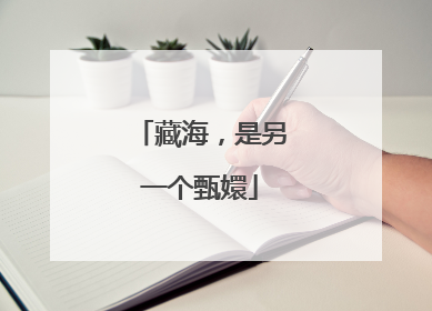 藏海，是另一个甄嬛