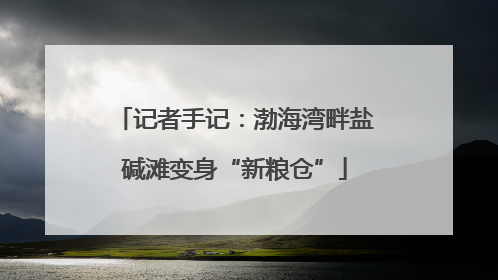 记者手记：渤海湾畔盐碱滩变身“新粮仓”