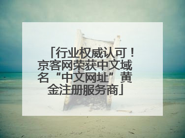 行业权威认可！京客网荣获中文域名“中文网址”黄金注册服务商