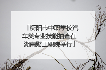 衡阳市中职学校汽车类专业技能抽查在湖南财工职院举行