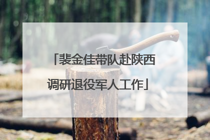 裴金佳带队赴陕西调研退役军人工作