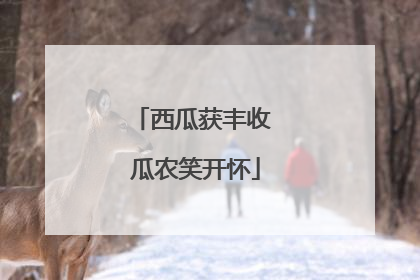 西瓜获丰收 瓜农笑开怀