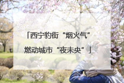西宁豹街“烟火气” 燃动城市“夜未央”