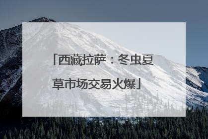 西藏拉萨：冬虫夏草市场交易火爆