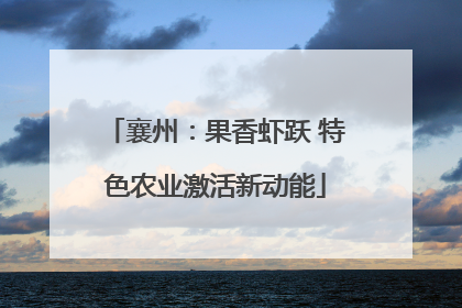 襄州：果香虾跃 特色农业激活新动能