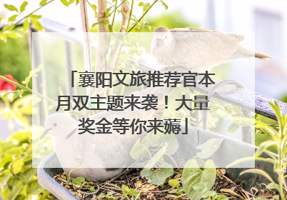 襄阳文旅推荐官本月双主题来袭！大量奖金等你来薅