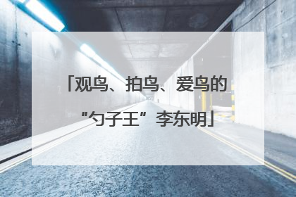 观鸟、拍鸟、爱鸟的“勺子王”李东明