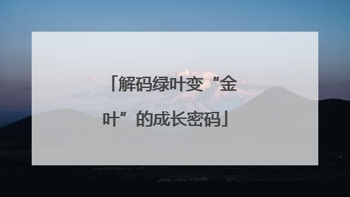 解码绿叶变“金叶”的成长密码