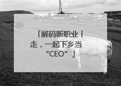 解码新职业丨走，一起下乡当“CEO”