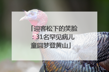迎客松下的笑脸：31名罕见病儿童圆梦登黄山