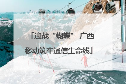 迎战“蝴蝶” 广西移动筑牢通信生命线