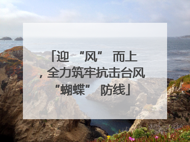 迎 “风” 而上，全力筑牢抗击台风 “蝴蝶” 防线