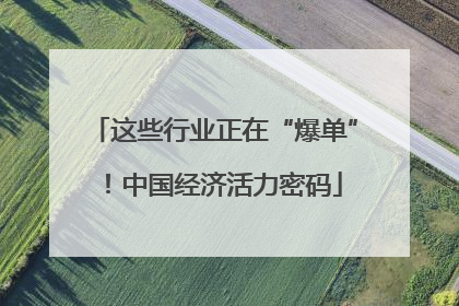 这些行业正在“爆单”！中国经济活力密码