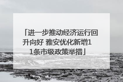 进一步推动经济运行回升向好 雅安优化新增11条市级政策举措